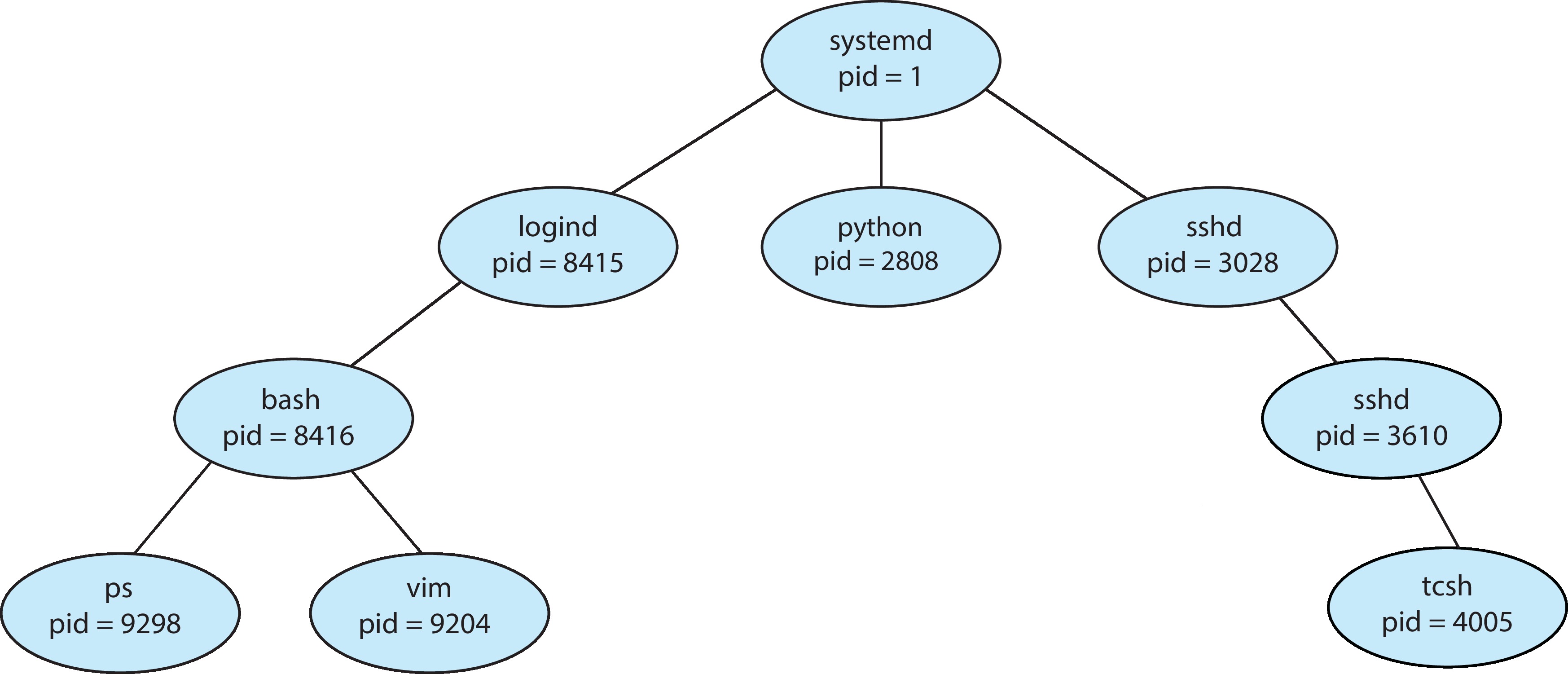 Figure 3.7: A tree of processes on a typical Linux system