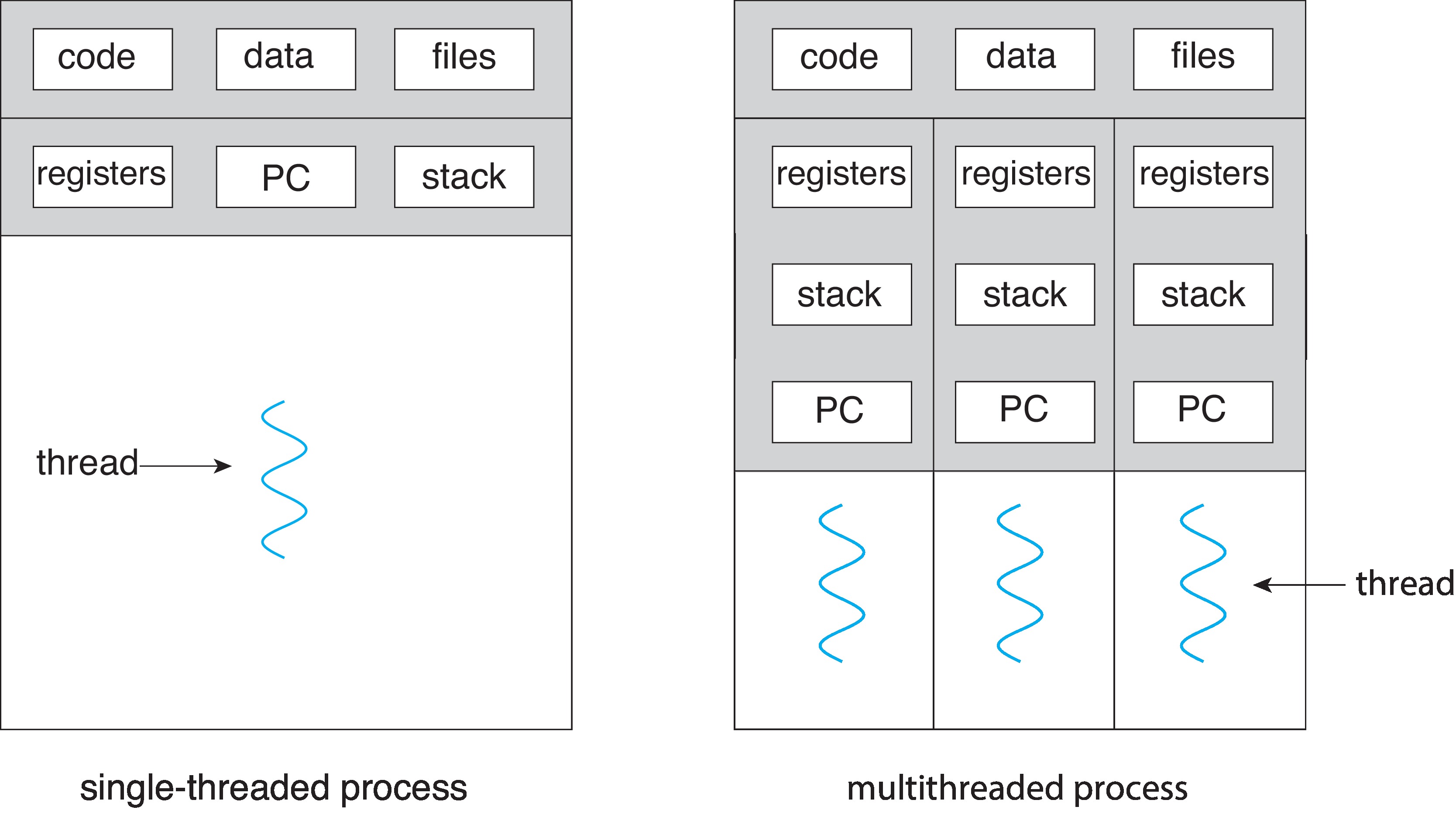 Figure 4.1: Single-threaded and multithreaded processes