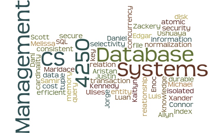 pretty cs4250 logo