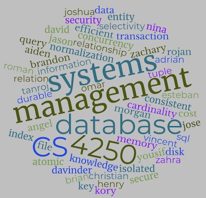 pretty cs4250 logo, decorative